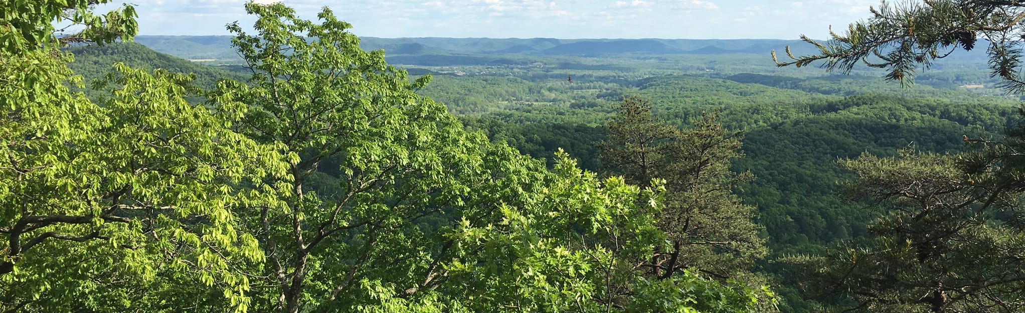 Pilot Knob and Sage Point Loop 277 Reviews, Map Kentucky AllTrails