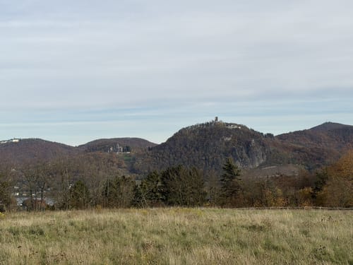 Runde um den Rodderberg