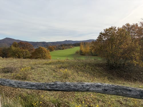 Runde um den Rodderberg