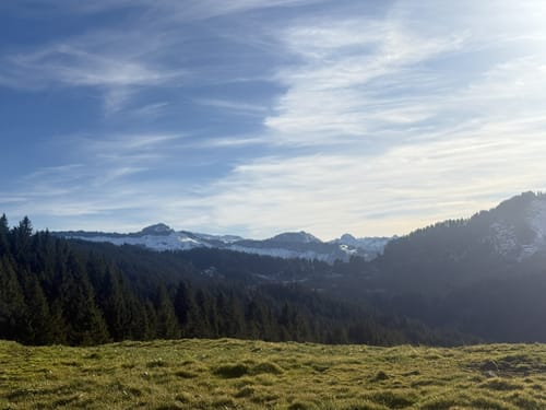 Zum Gelbhansekopf