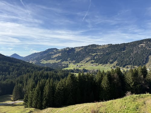 Zum Gelbhansekopf