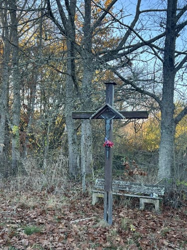 Königsfeldschleife (Traumschleife)