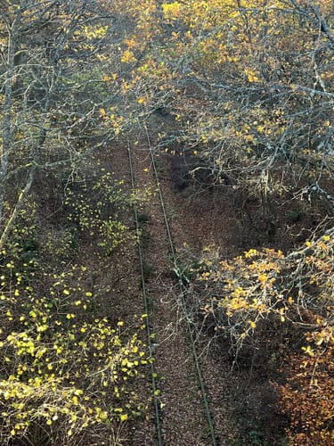 Königsfeldschleife (Traumschleife)