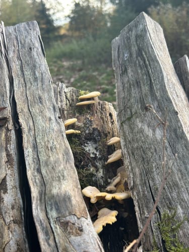 Von Borken durch die Berge