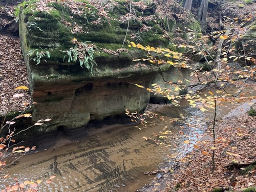 Nuschelberg ab Lauf an der Pegnitz