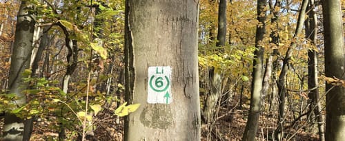 Rundwanderweg Lindenfels 6: Erlebniswanderweg Lindenfels