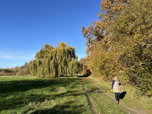 Um den Großen Plessower See
