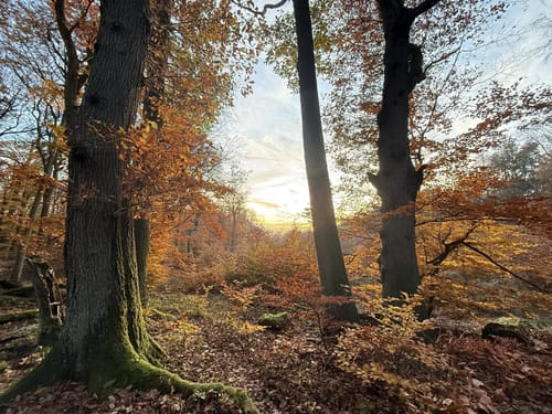 Rundwanderweg Hase Frauenstein