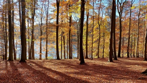 Plötscher See und Garrensee