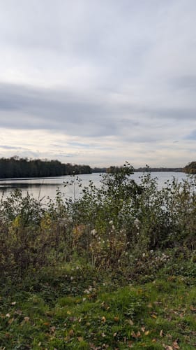 Unterbacher See Runde