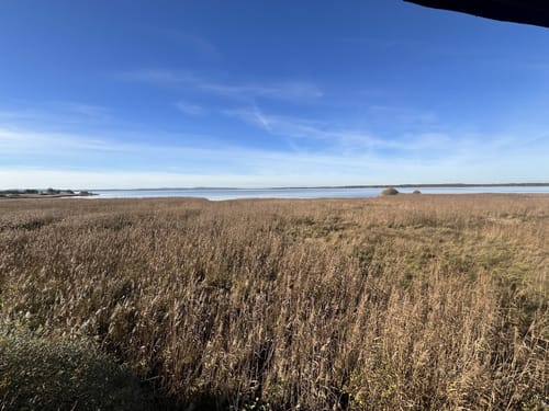 Steinhuder Meer Rundweg