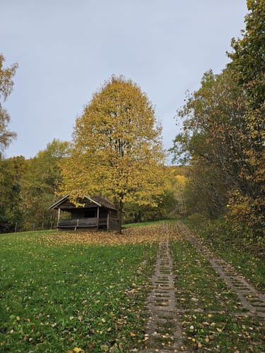 Rund um Junkerkuppe und Burg Hanstein