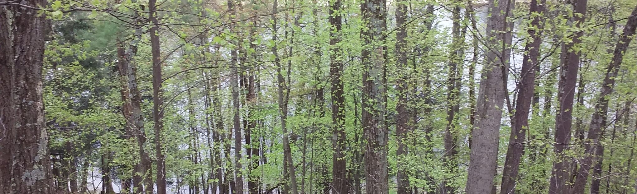 Conklin Park , Michigan 13 Reviews, Map AllTrails