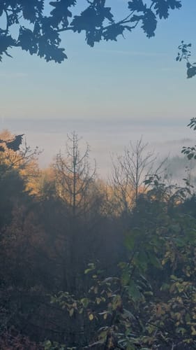 Erlebnispfad WeltWald Harz