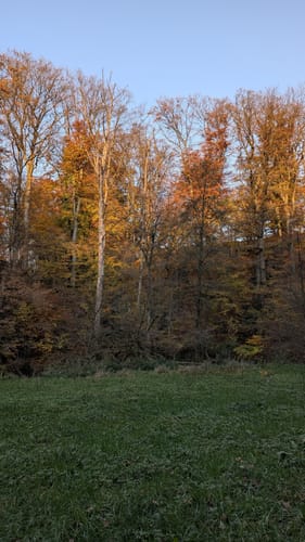 Tippeltour: Nach Gruiten an die Düssel