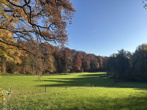 Neandertal - Große Runde