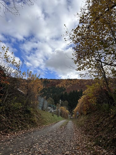 Heckenlandroute