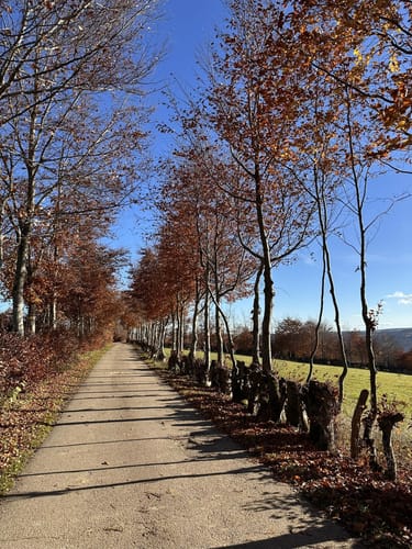 Heckenlandroute