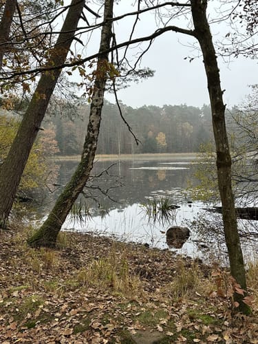 Lindlkopf und Mühlberg 