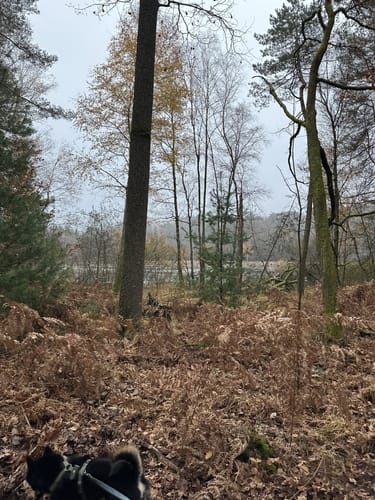 Lindlkopf und Mühlberg 