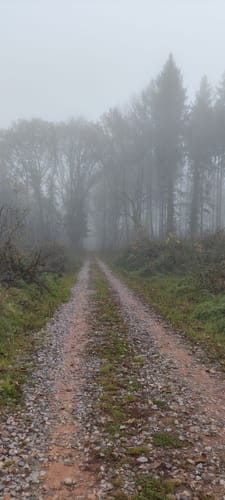 Wasgau-Felsenweg