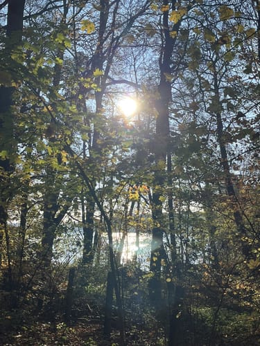 Bötzsee Rundweg