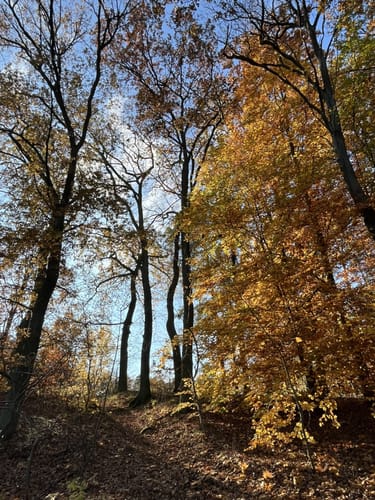 Bötzsee Rundweg