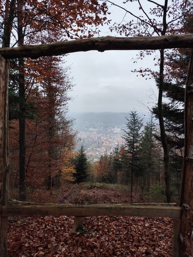 Premiumspazierwanderweg: Felsenmeer