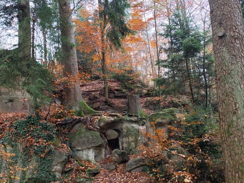 Premiumspazierwanderweg: Felsenmeer