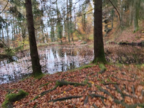 Premiumspazierwanderweg: Felsenmeer