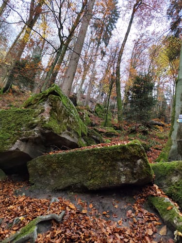 Premiumspazierwanderweg: Felsenmeer