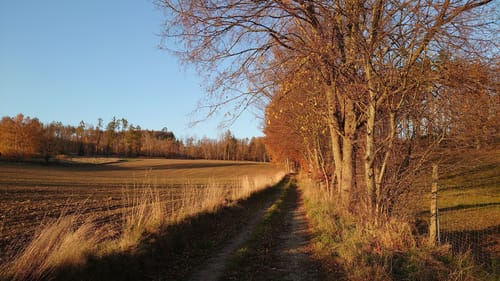 Herrnsberg Rundweg