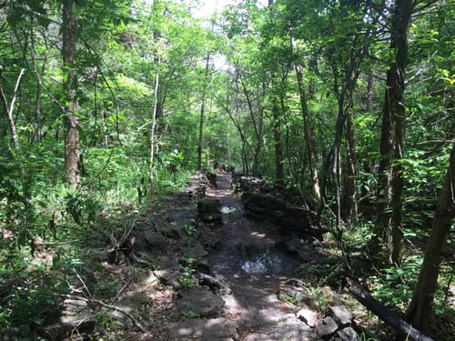 Table Rock Lake Hiking Trails Best 10 Trails In Table Rock State Park | Alltrails