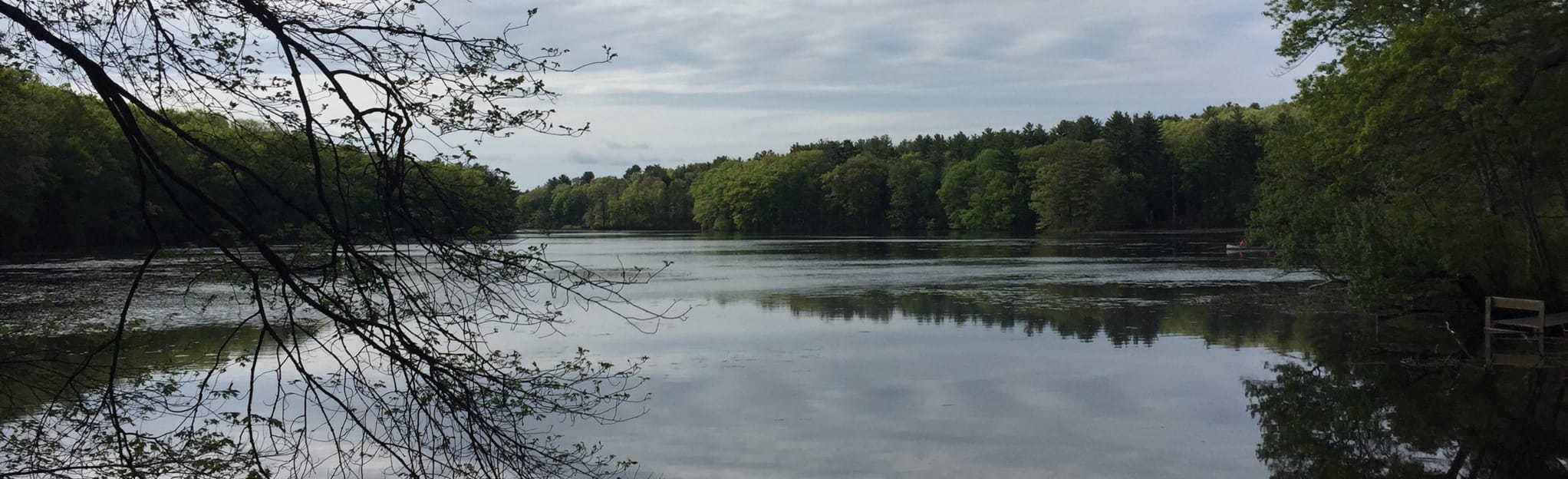 Farrar Pond Trail, Massachusetts 186 Reviews, Map AllTrails