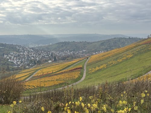 Von Obertürkheim über die Weinberge