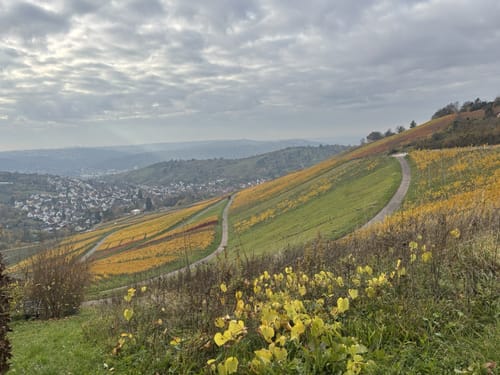 Von Obertürkheim über die Weinberge