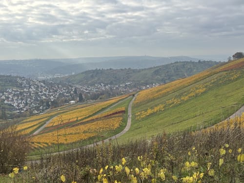 Von Obertürkheim über die Weinberge