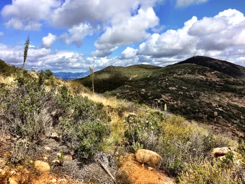 10 Best Wildlife Trails in Mission Trails Regional Park