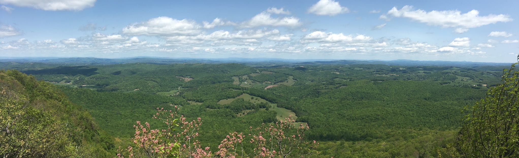 Buffalo Mountain Trail, Virginia - 622 Reviews, Map | AllTrails