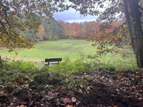 Wildpark - Schmalsee - Hegesee