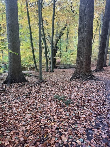 Wildpark - Schmalsee - Hegesee