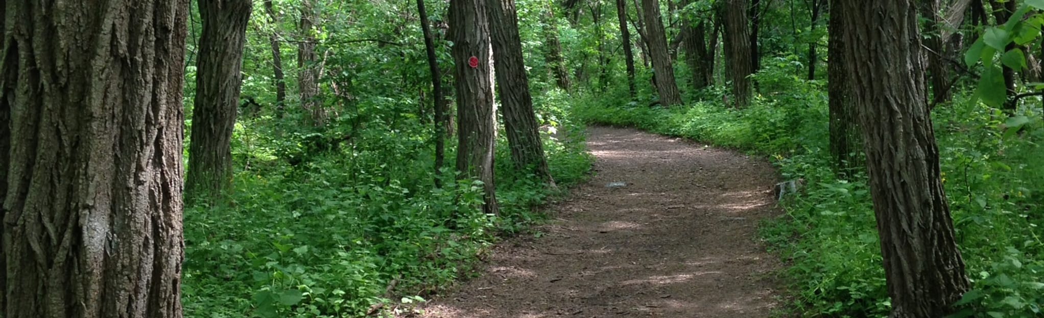 Tawasentha Park Loop, New York 244 Reviews, Map AllTrails