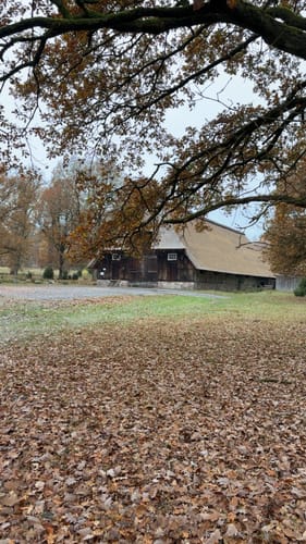 Aus Undeloh zum Wilseder Berg