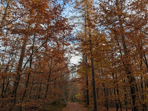 Wanderroute Boxberg-Waldhütten