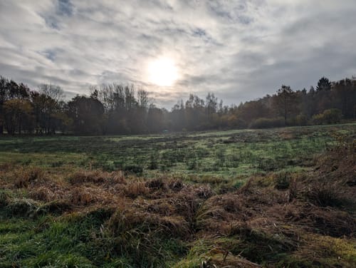 Wanderroute Boxberg-Waldhütten