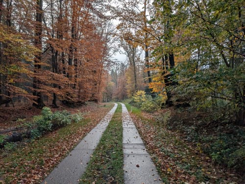 Wanderroute Boxberg-Waldhütten