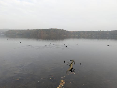 Am Flakensee