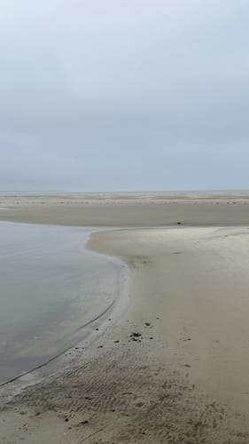 Spiekeroog: Westend und Süderdünen