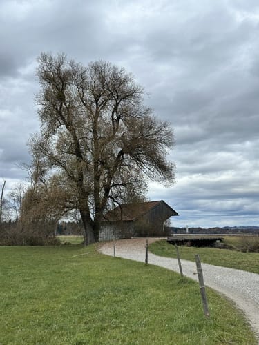 Staffelsee Rundweg