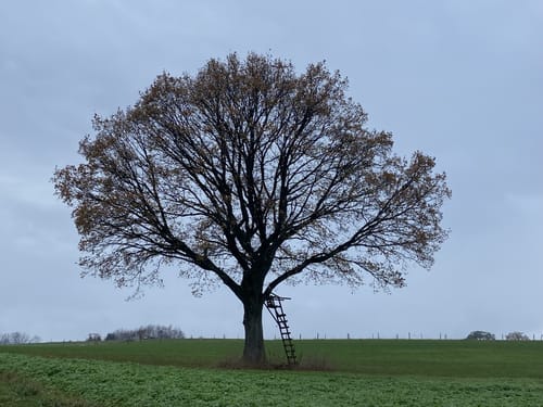 Waldsofa-Wanderweg Wilbergerhütte